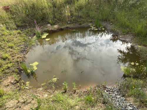 0D6E3DCB-B08A-4B60-ADAC-3FE476DEC057_1_105_c