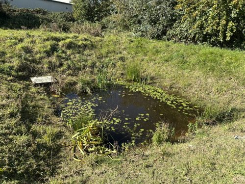 16976845-CAFF-48A4-AD85-6E1FB80748CB_1_105_c