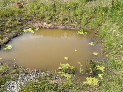 207B578B-C9F3-4B9A-89B8-7CCAD55D9963_1_105_c