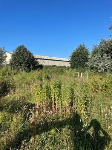 2804AD8E-5346-4290-AD29-8B977D9A15DC_1_105_c