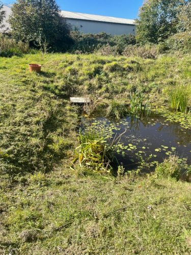 29081DBF-833F-4B5D-BDE9-E7A3FA269892_1_105_c