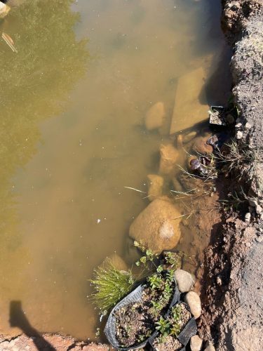 46D111CE-F86C-4910-A48F-B31E557E4199_1_105_c