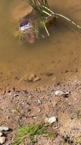 4B96759C-7909-402A-AFC0-89BF75F8EA13_4_5005_c