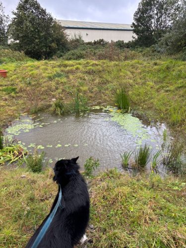 6B2AAAA8-2647-47D7-B26C-6E31FB1038A8_1_105_c