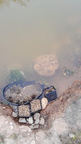 76CD2B74-B7BB-464F-BB1C-F72A010627CC_1_105_c