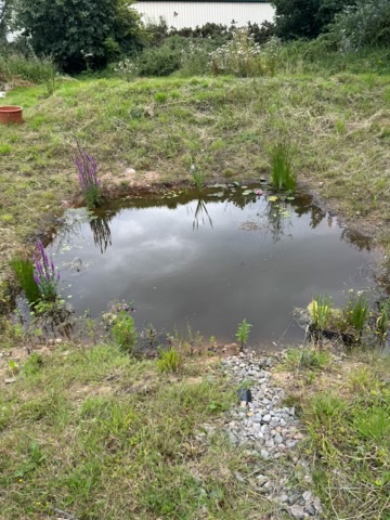 76F50212-F386-4603-A4E8-19FAEB9A52C2_4_5005_c