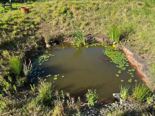 7B882350-F43B-4B16-82CA-3D9A3F021892_1_105_c