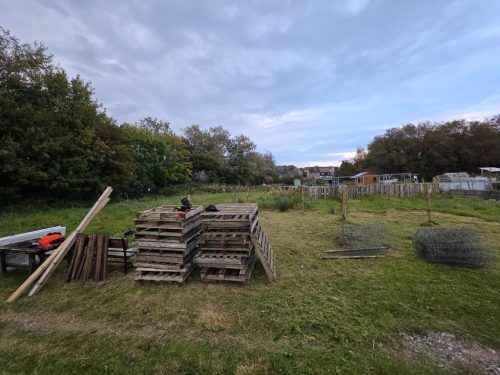 A29D53C8-0292-4140-8E05-BA7F0DC0B3BA_1_105_c