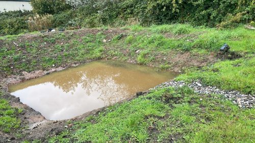 A3FB1F51-2FB1-4E11-81E8-F4A07669E459_1_105_c