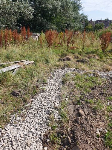 BE415B92-2BF8-4692-ACE5-1AFAEED672D5_1_105_c