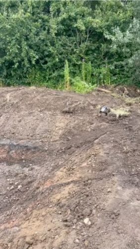 BF93580C-C3DD-4D7F-9B58-3BB0D6AFDC77_4_5005_c