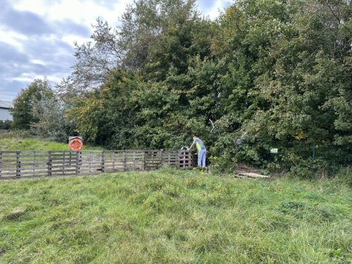 D771BBAC-55DC-47BD-B77E-AD24C8B660F4_1_105_c