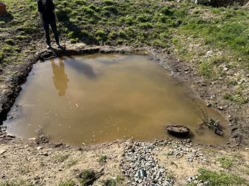 FFD37EBF-D475-48C5-9CAE-030EAD94BD03_1_105_c