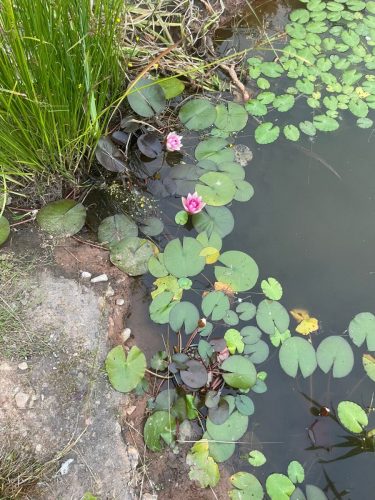 WhatsApp Image 2025-08-22 at 20.03.03